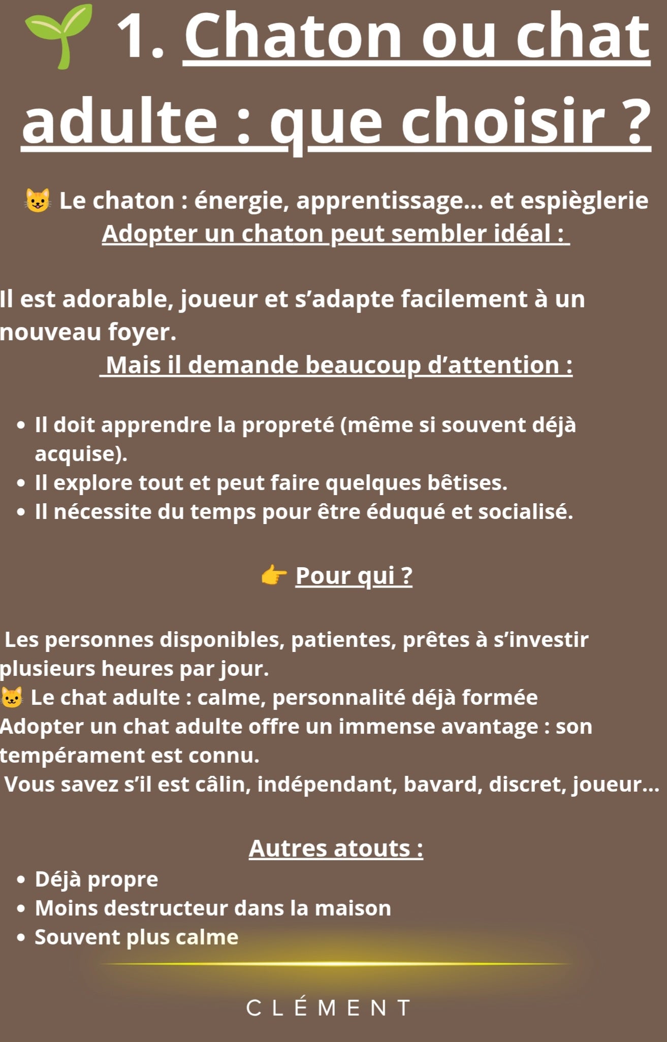 Accueillir son Chat : Le Guide Pratique Complet (PDF)