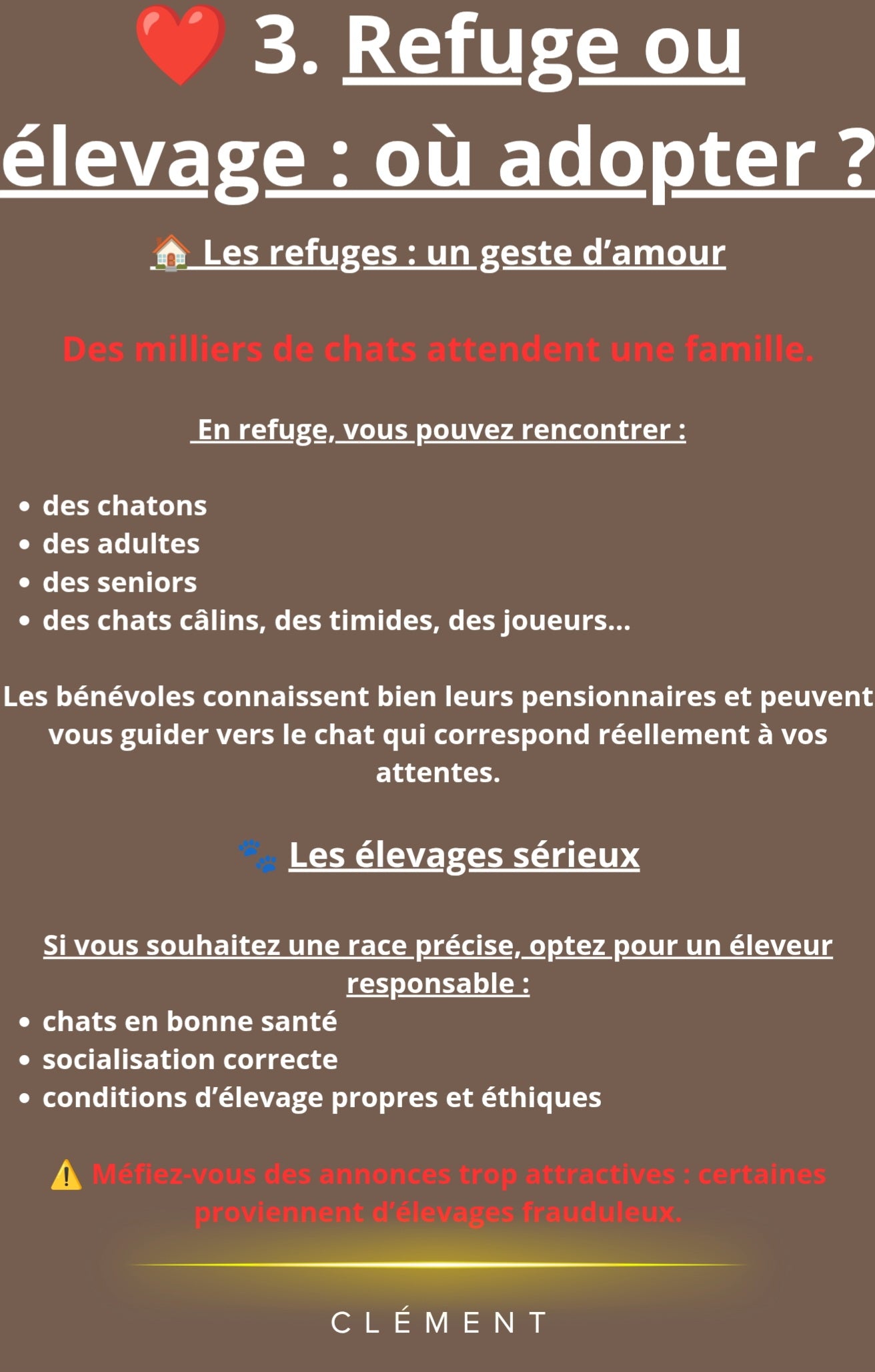 Accueillir son Chat : Le Guide Pratique Complet (PDF)