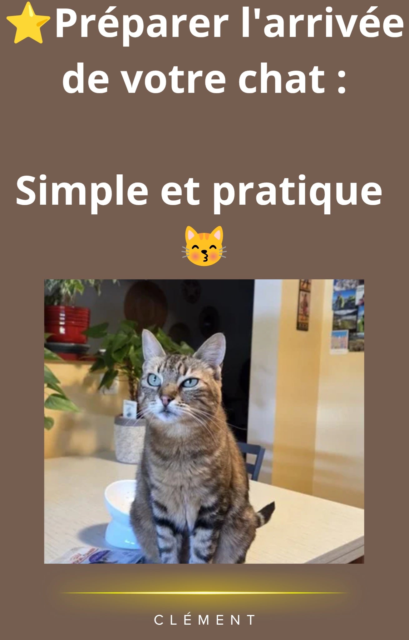Accueillir son Chat : Le Guide Pratique Complet (PDF)