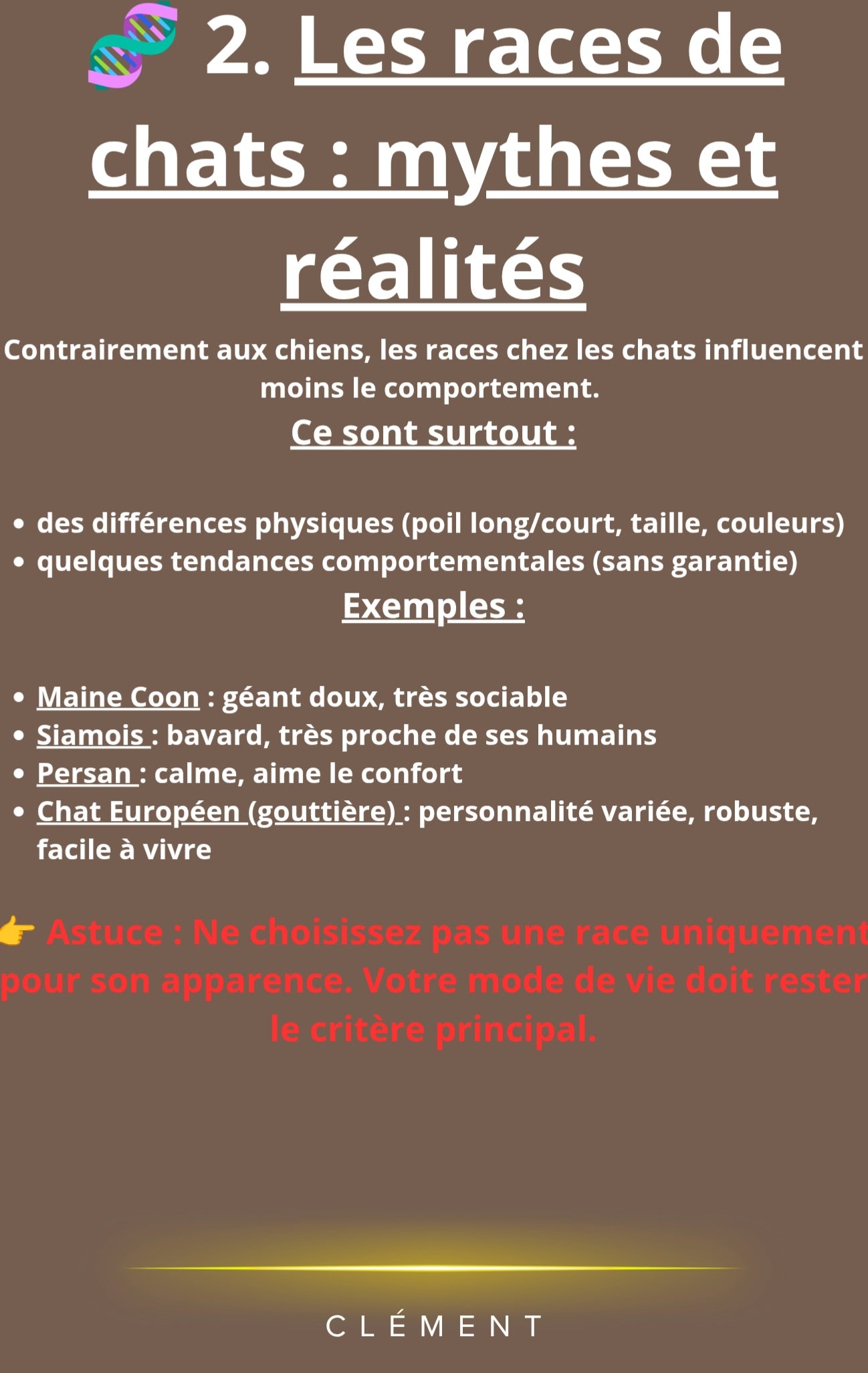 Accueillir son Chat : Le Guide Pratique Complet (PDF)